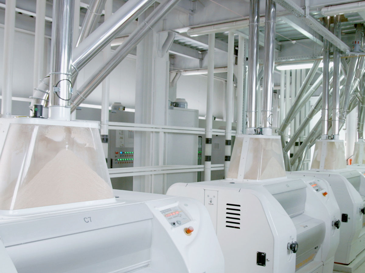 Magnesy zapobiegają częściom żelaznym w przemysłowym zakładzie produkcji mąki | Goudsmit Magnetics