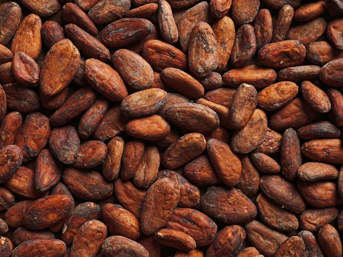 Magnety zabraňují výskytu kovových částic v kakaovém prášku a kakaových bobech | Goudsmit Magnetics