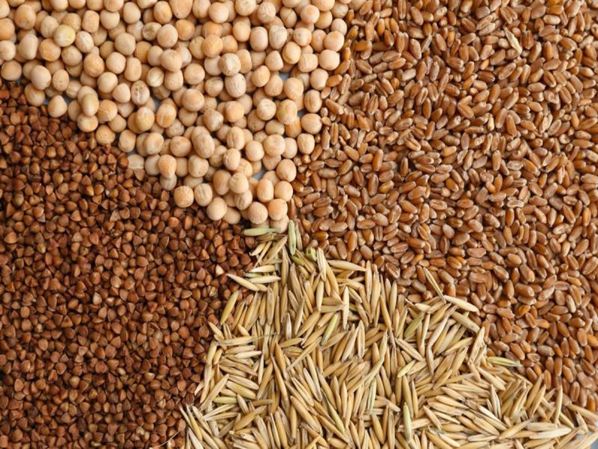 Los imanes separan el metal de las semillas y el grano | Goudsmit Magnetics